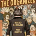 the organizer